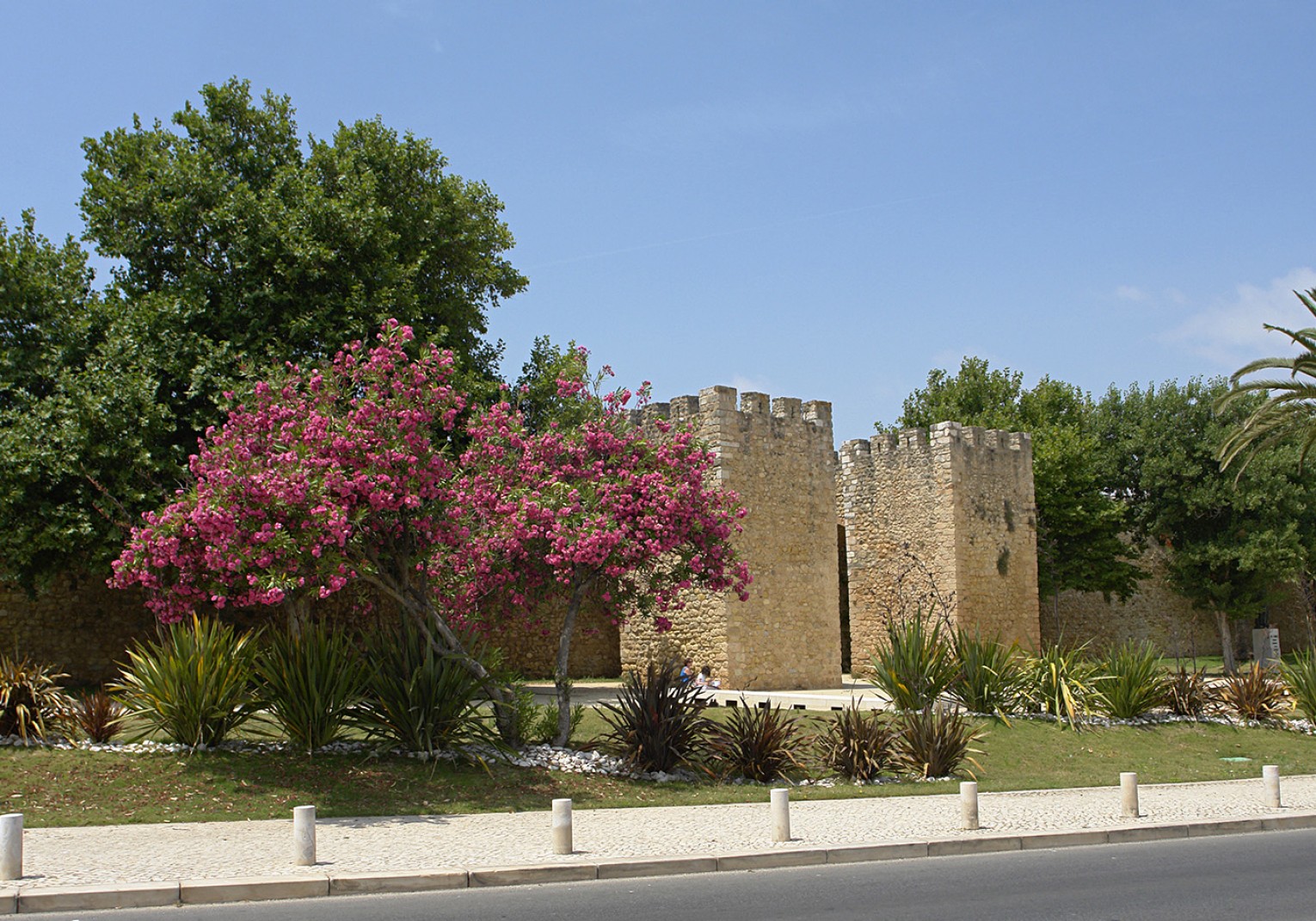 Regulamento da Biblioteca Municipal de Lagos vai estar em co...