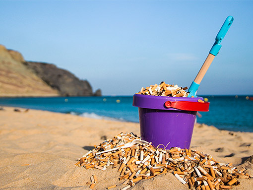 Vencedores do Concurso de Fotografia “O Teu Planeta é a tua Terra” já são conhecidos