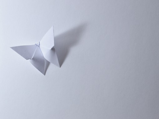 ENTRE DOBRAS E PAPÉIS, OFICINA DE ORIGAMI: BORBOLETAS EM VOO - A ELEGÂNCIA DE MICHAEL LAFOSSE, por Odete Azevedo