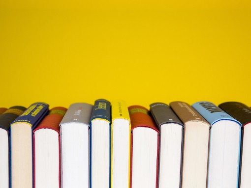 16.ª MOSTRA DE LIVROS DE AUTORES DE LAGOS