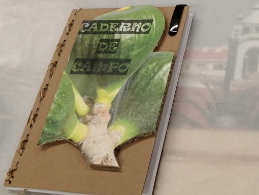 OFICINA CRIATIVA E RECICLADA “DESCOBERTA DA BIODIVERSIDADE”