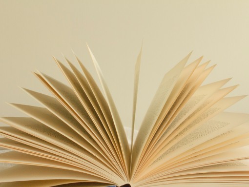 FESTA DO LIVRO | CLUBE DE LEITURA DE LAGOS