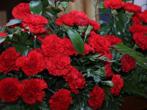 Comemorar Abril, afirmar e valorizar o poder local democrático