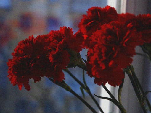 COMEMORAÇÕES DO 25 DE ABRIL DE 1974