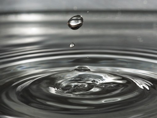 CIÊNCIA EM FAMÍLIA | O PODER DA ÁGUA