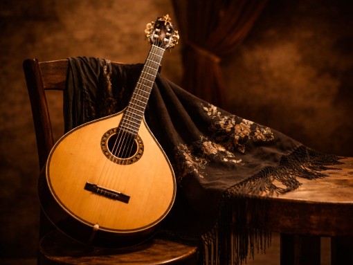 ESPETÁCULO DE FADO