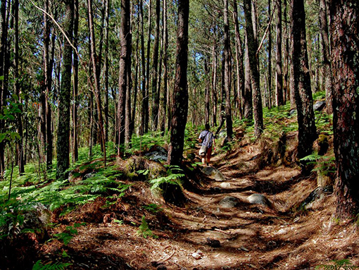 Evento desportivo único em Portugal passa por Lagos