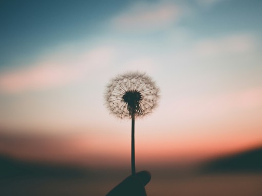 MINDFULNESS & CRESCIMENTO PESSOAL: LINHA DO TEMPO, por Sofia Loureiro