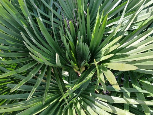 EMPREITARTE, DO CORAÇÃO À MÃO | BASE PARA TACHOS, por Ana Carla