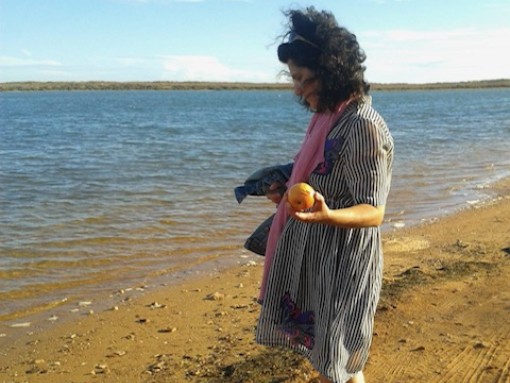 APRESENTAÇÃO DO LIVRO “CAMPOS DE ARROZ”, de Sara Monteiro