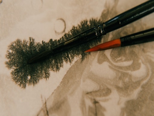 Águas do Tempo: Odiáxere transforma memórias da água em arte