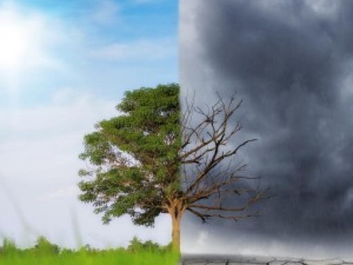 Lagos apresenta estratégia para adaptação às Alterações Climáticas