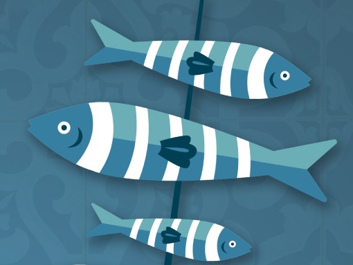 ARRAIAL DE VERÃO – EVENTO SOLIDÁRIO