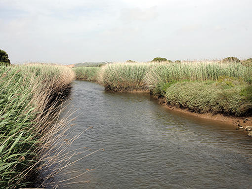 Plano de Pormenor do Paul de Lagos já tem proposta base aprovada