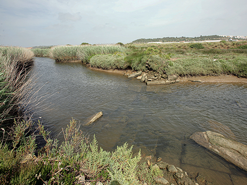 Foi aprovada a proposta de Plano de Pormenor do Paul de Lagos