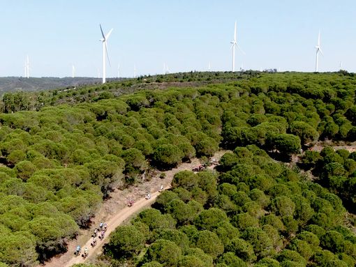 Lagos obteve o melhor resultado de sempre no ECOXXI