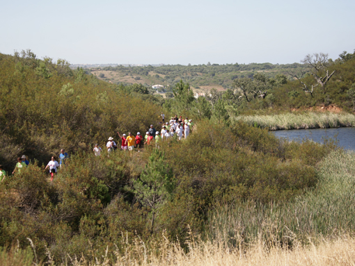 O CAMINHO FAZ-SE CAMINHANDO