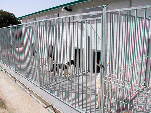 LAGOS AVANÇA: com reabilitação e ampliação do Canil/Gatil Municipal