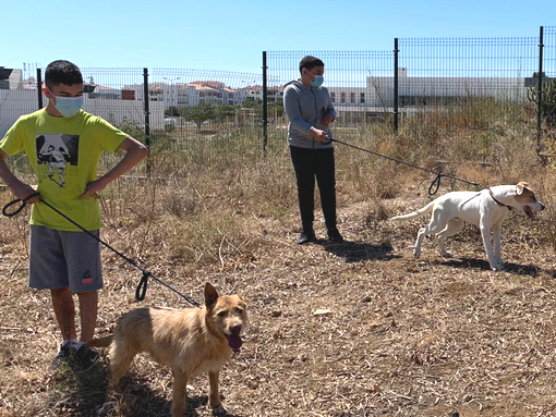 Ação de Sensibilização no Canil Municipal de Lagos