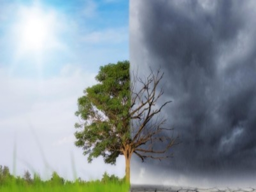 Lagos adere à Rede de Municípios para a Adaptação Local às Alterações Climáticas