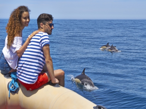 Lagos será o palco do dia aberto da Algarve Nature Week – 13 de Abril