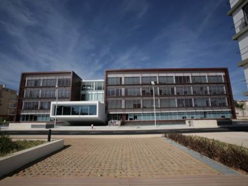 Município de Lagos integra Projeto CESOP-LOCAL