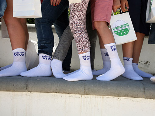 Lagos vai ter “Escola Ciência Viva”