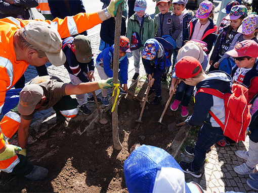 Lagos assinalou Dia da Árvore
