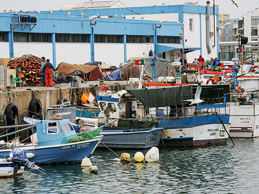 Lagos acolhe ação de sensibilização destinada à comunidade piscatória