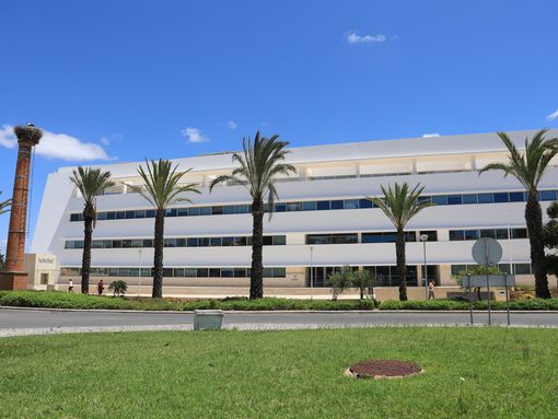 Lagos disponível para aceitar mais competências em 2019 e em 2020