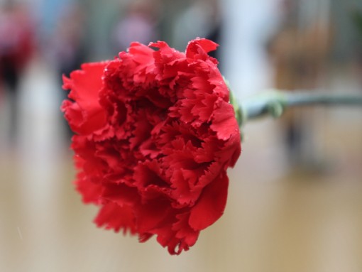 ENCONTRO COMUNITÁRIO | 25 DE ABRIL