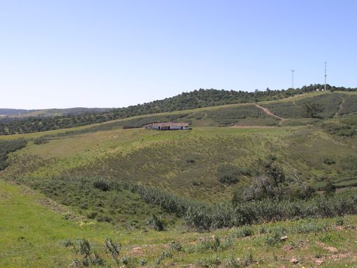 Estudo de Impacte Ambiental de produção de abacates em consulta pública