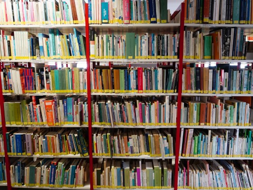 EXPOSIÇÃO “PATRONOS DAS BIBLIOTECAS”, pela BIBAL