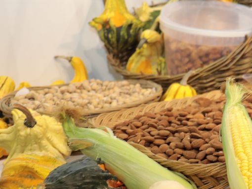 Terras do Infante vão marcar presença na 40ª FATACIL 2019