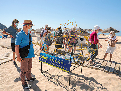 Praia da Luz recebe projeto Goby