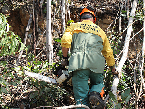 Visita do Secretário de Estado das Florestas e do Desenvolvimento Rural, Eng.º Miguel Freitas, às Terras do Infante