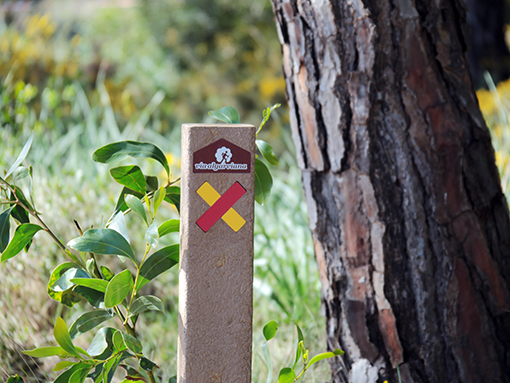 Lagos apoia gestão da Via Algarviana e candidatura à sua valorização