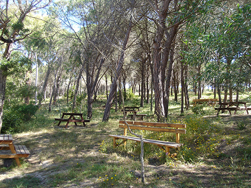 MUNICÍPIO DE LAGOS PARTICIPA NA CONSTITUIÇÃO DO DECIR/2018