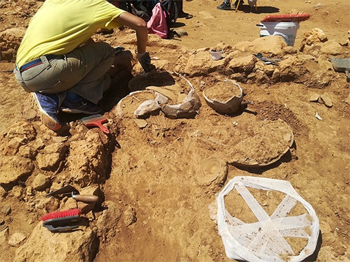 Lagos promoveu nova campanha arqueológica no Monte Molião