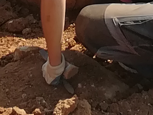 Escavações arqueológicas no Monte Molião terão Dia Aberto