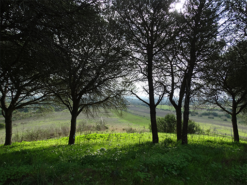 Lagos participa na Bienal de Turismo de Natureza