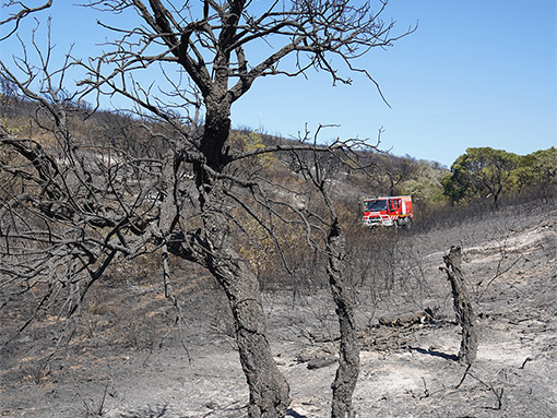 Lagos apoia constituição do Dispositivo Especial de Combate a Incêndios Rurais 2020