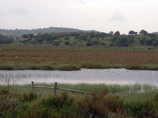 ZONA DO PAUL DE LAGOS VAI TER PLANO DE PORMENOR