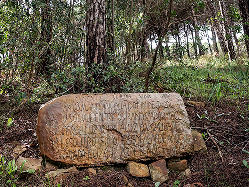 Walk & Art Fest já “mexe”