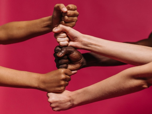 Câmara de Lagos tem novo Plano Municipal para a Igualdade e Não Discriminação