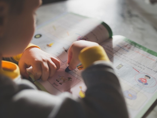 Município reforça apoio às famílias com oferta dos cadernos de atividades no 1.º Ciclo