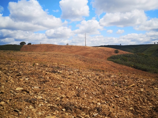 Iniciados Trabalhos de Manutenção e Limpeza da Rede Primária das Faixas de Gestão de Combustível