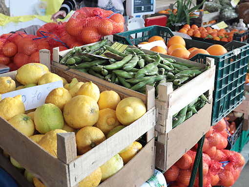Mercado de Levante vai reabrir em instalações provisórias