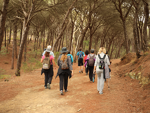 Lagos apoia atividades desportivas e de lazer ao ar livre em época baixa