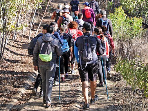 “Barão de São João – Walk & Art Fest” voltou a mostrar os caminhos da arte